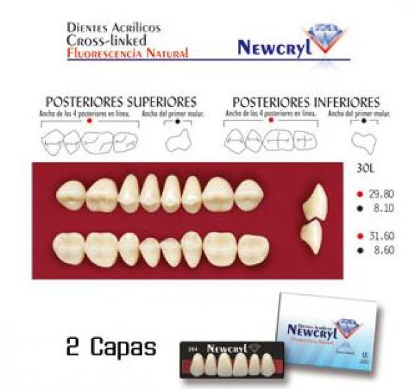 Dents NEWCRYL-VITA A4 30L  Img: 201807031