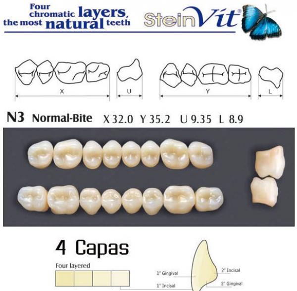 Dents STEINVIT A1 N3  Img: 201811031