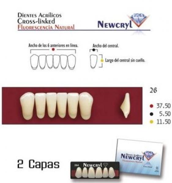 Dents NEWCRYL-VITA A1 26  Img: 201807031
