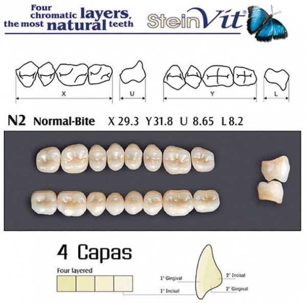 Dents Steinvit N2 UP de New Stetic - D3 Img: 201907271