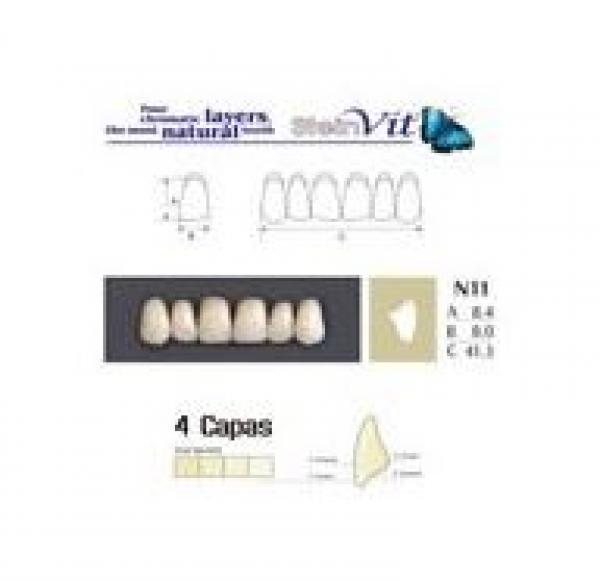 Dents STEINVIT N11 UP A3.5  Img: 201807031