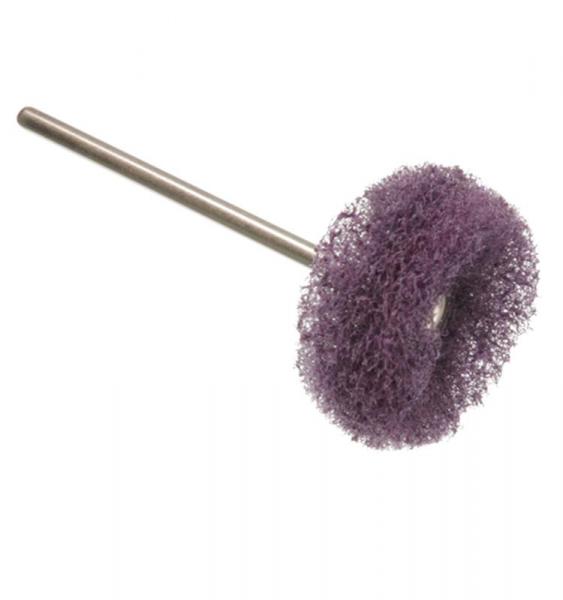 Disque Scotchbrite monté - Fin 255 Img: 202501041
