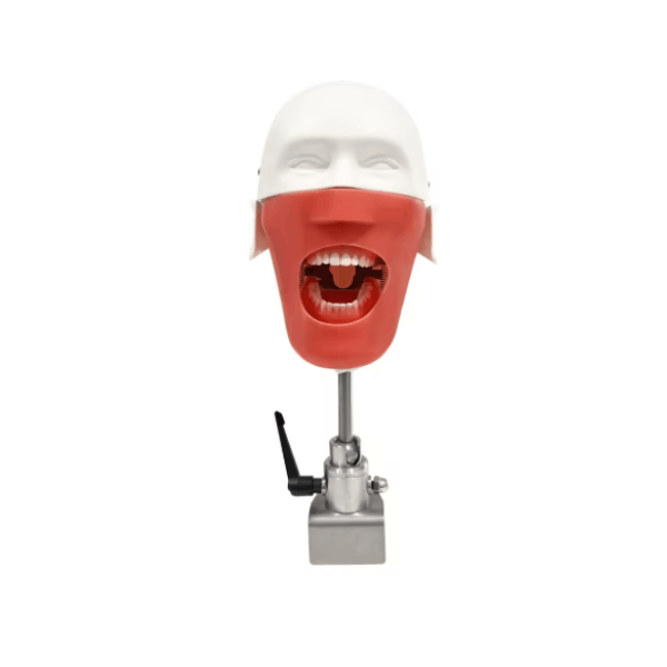 Simulateur dentaire simple Img: 202511291