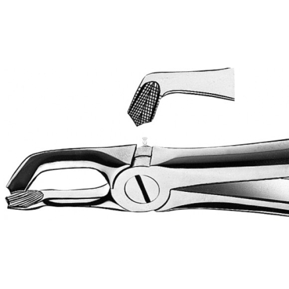Forceps Dentaire Fig.79 Pour Extraction Dents De Sagesse Inférieures - TK Plus - Neuf