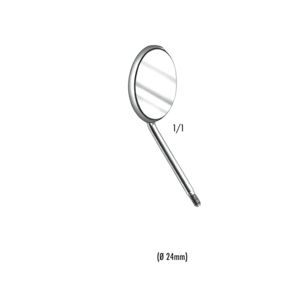 478/5 miroir RHODIUM 12u. Img: 202111271