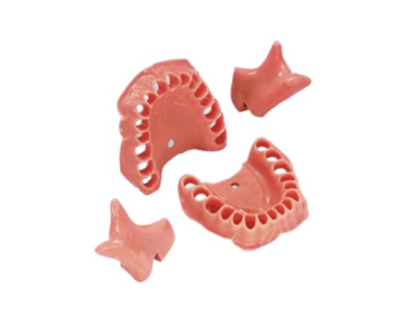 Gencive Élastique et Échangeable pour Modèle AG-3 IB - Mâchoire Img: 202104171