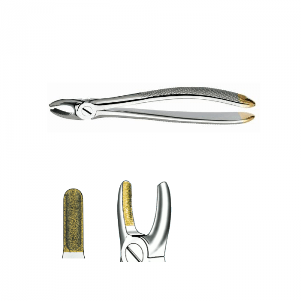 FORCEPS 18D Pointe de diamant pour molaire supérieur gauche  Img: 202110301