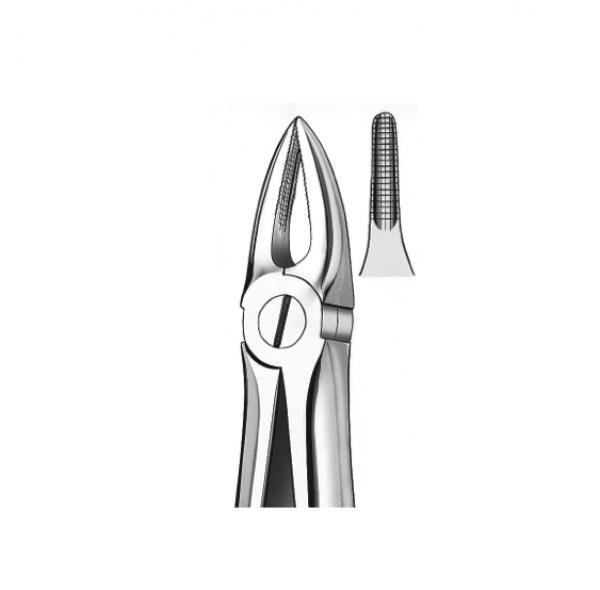 29 FORCEPS Img: 202110301