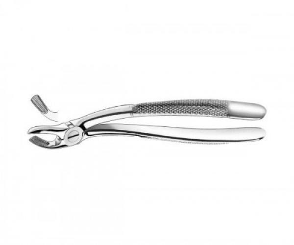 FORCEPS 19 CORDAL ASCENDANTE  Img: 202110301