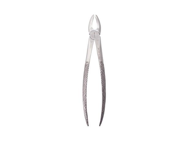 FORCEPS FIGURE 1 Img: 201907201