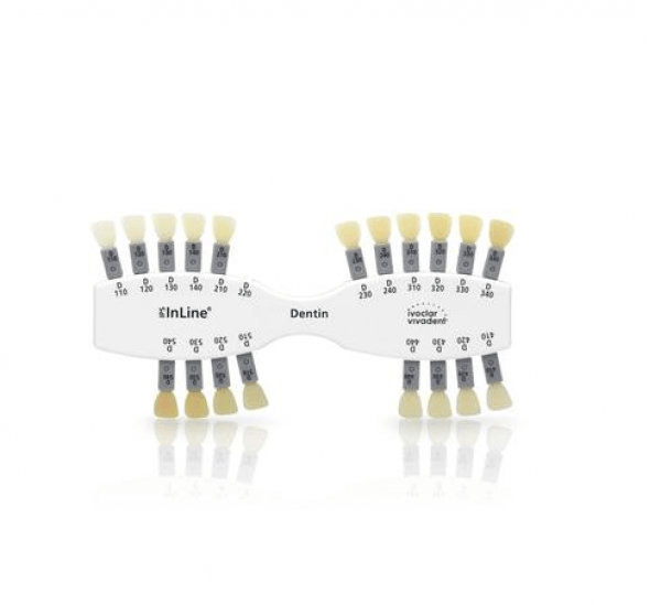 IPS INLINE : Métal-céramique Dentine (100 g) - Teintier Img: 202409211