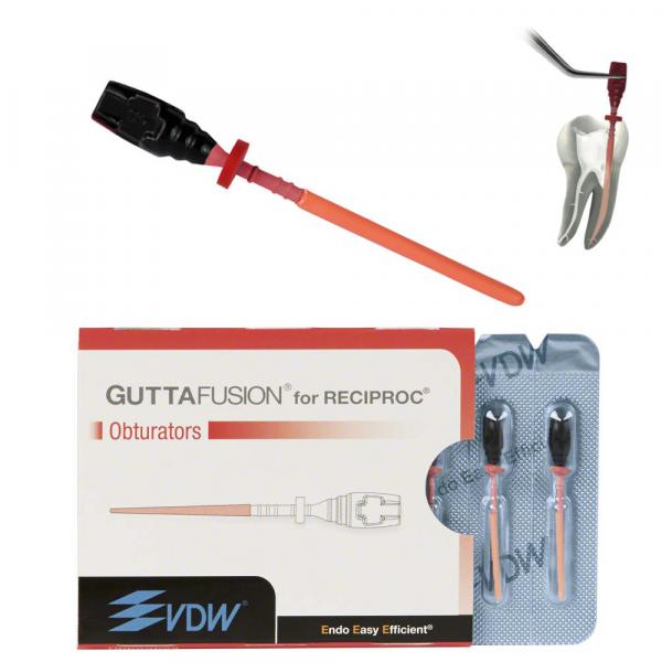 OBTURADOR GUTTAFUSION POUR RECIPROC R40. 1 BLISTERS 6 OBTURADORES  Img: 202110301