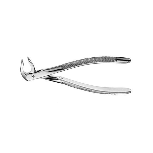 FORCEPS FAFX74N APICAL ANT.  INF.  Img: 202211121