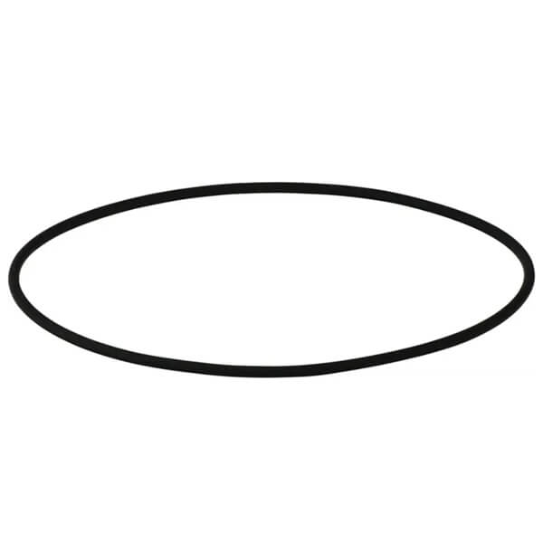 Joint torique pour machine à polymériser Polymax 1 et 3 (164 x 4 mm) Img: 202508091
