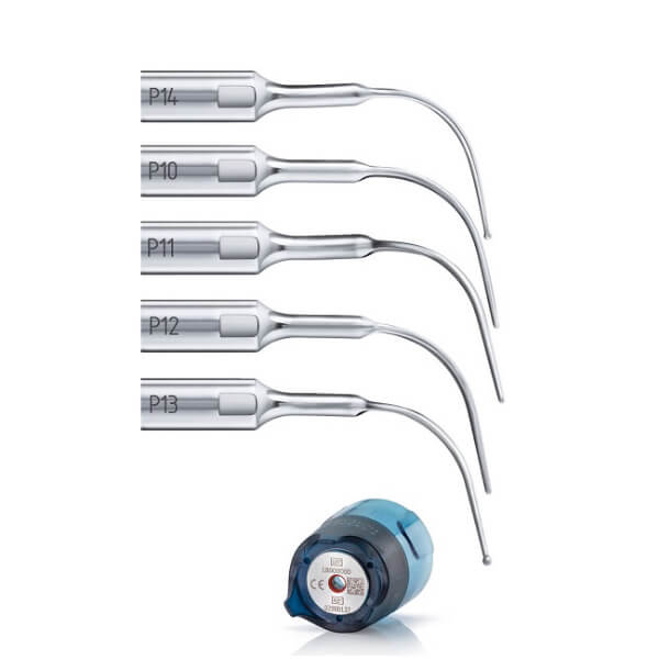 Kit Perio Anatomic Img: 202601241