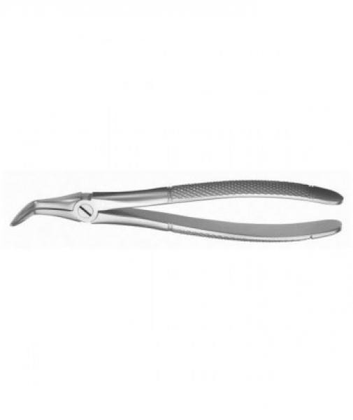FORCEPS tue RAICES INF M5145 . ***** Img: 201811031