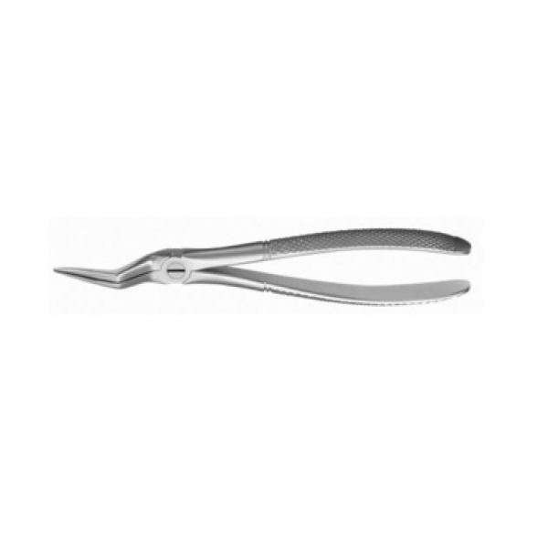 FORCEPS 1/2 M5151 tue fragments SUP.  Img: 202204301