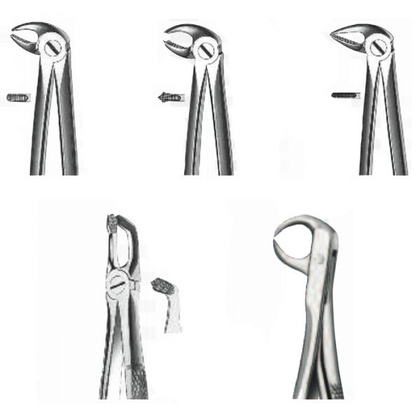 Forceps Exodontie maxillaire inférieure - 22 MOLAIRES INFÉRIEURES Img: 201902091