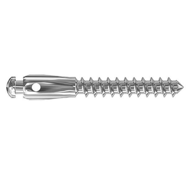 Mini implants leone tête PRES DE CONNECTEUR (2mm LONG. 10mm) Img: 201807031
