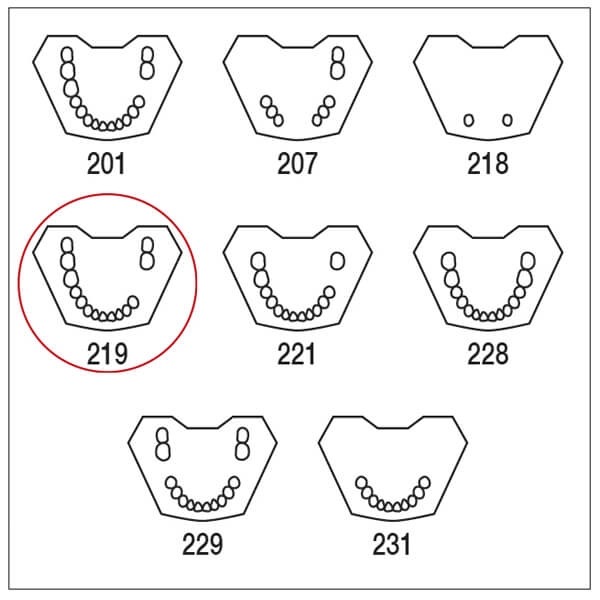 Typodont AG-3 : Modèle de mâchoire partiellement dentelée TWUK et TWOK - TWUK 219 Img: 202401061
