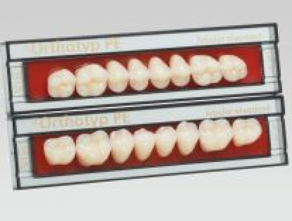 PREMIUM : Dents postérieures supérieures XSL - C1 Img: 202507191
