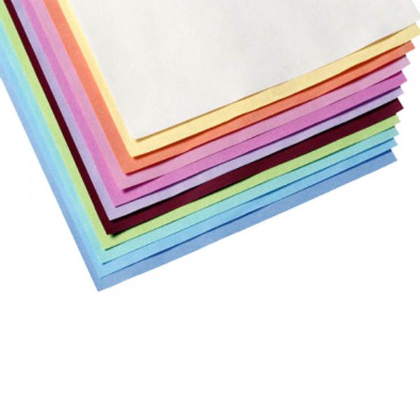 Papier de Protection Plateaux coloré 18 x 28 cm (250 unités) - AKZENTA