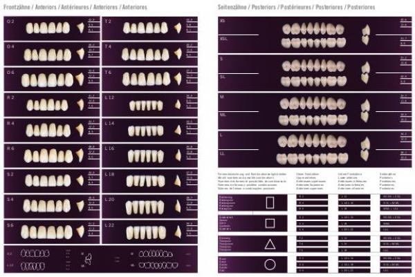 CABINET DE DENTS Phonares 4 tiroirs Img: 201807031