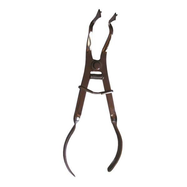 FORCEPS BREWER RUBBER  Img: 201807031