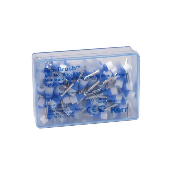 Pro-Brush : Brosse de nettoyage et de polissage dentaire en nylon - 100 unités Img: 202503081