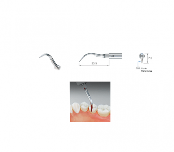 POINTE NSK G1 détartrage Img: 202511221