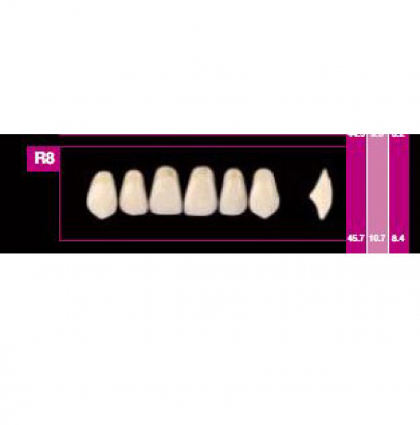 Dents COSMO HXL antérieures supérieures R6 - A3.5 Img: 202507191