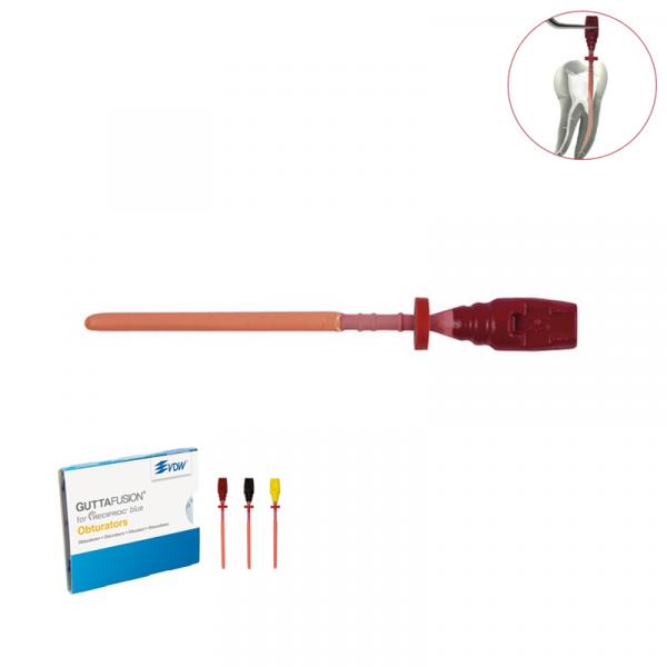 Obturateur Guttafusion Reciproc Blue R25 (rouge 6 pc) Img: 201903231