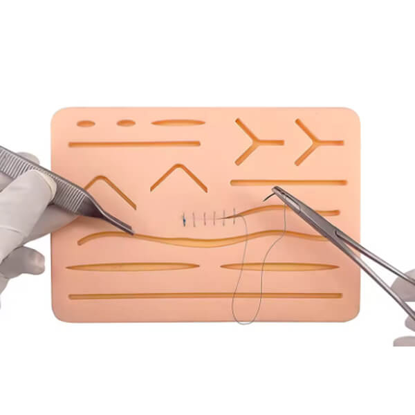 Modèle en silicone pour sutures générales Img: 202509131