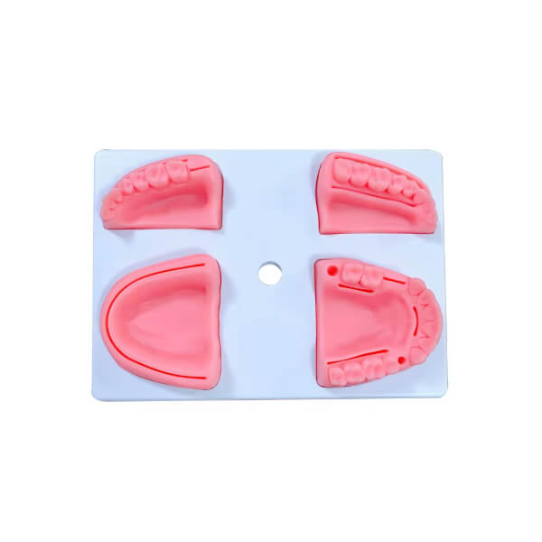 Modèle en silicone pour sutures buccales Img: 202509131