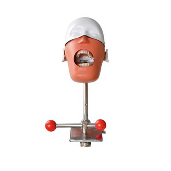 Simulateur dentaire simple Img: 202509131