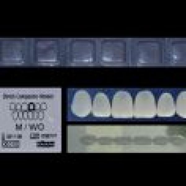 Set de facettes émaillées esthétiques COMPONEER (6ud) - Taille L - émail blanc opale Img: 202010311