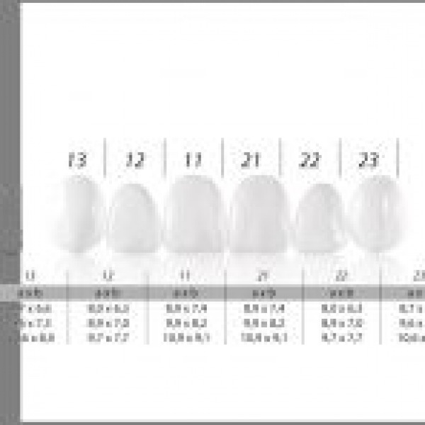 Set de facettes émaillées esthétiques COMPONEER (2ud) - Nº13 Taille S émail blanc Opal (2ud) Img: 202111131