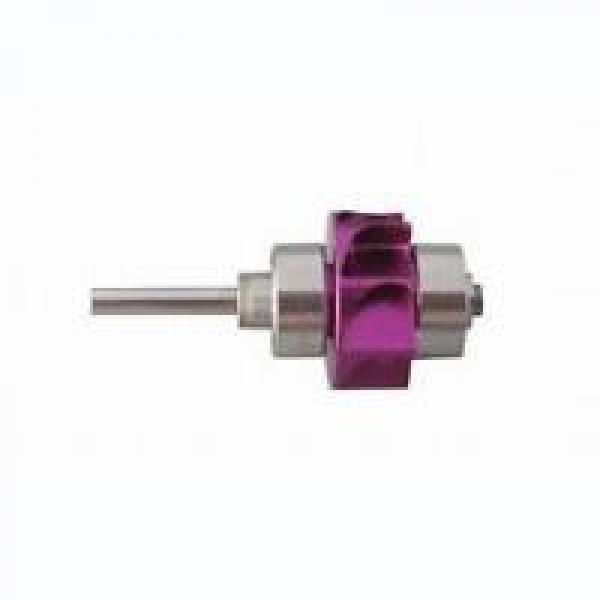 Remplacement du rotor Force Sllence 6000 Img: 202204301