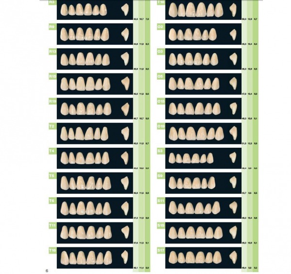 ant XENA inf L7 A2 Img: 202401061