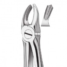 17K ENFANTS FORCEPS molaire DCHO.  Img: 202110301