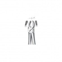 image: 