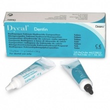 DYCAL DENTINE HYDROXYDE DE CALCIUM (BASEx13gr. + CATALYSEUR x11gr.) OBTURATION Img: 202003211