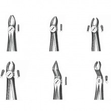Forceps Exodontie maxillaire supérieure - 01 INCISIVES SUPÉRIEURE Img: 202202051