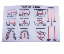 MODÈLE pour la pratique de la SUTURE (1pc) Img: 202008291