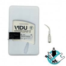 Insert à ultrasons GD pour la prophylaxie - GD1 Img: 202503081