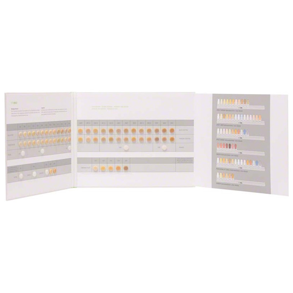 Kit Résine Dentaire VITA 3D Master Avec Guide D'ombrage 29 Couleurs - Pour Laboratoire Dentaire