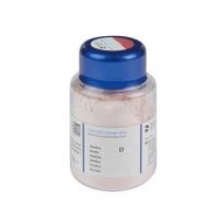 CERCON CERAM KISS dentine DA1 75 g  Img: 202002151