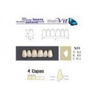 Dents STEINVIT N11 UP A3.5  Img: 201807031