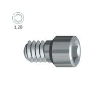 Vis de fixation hexagonale externe (Biomet 3i® ø5.0)-1,20 clé Img: 202010171