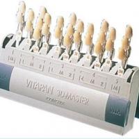 Guide dentaire Vitapan 3D (1u.) Img: 202202051